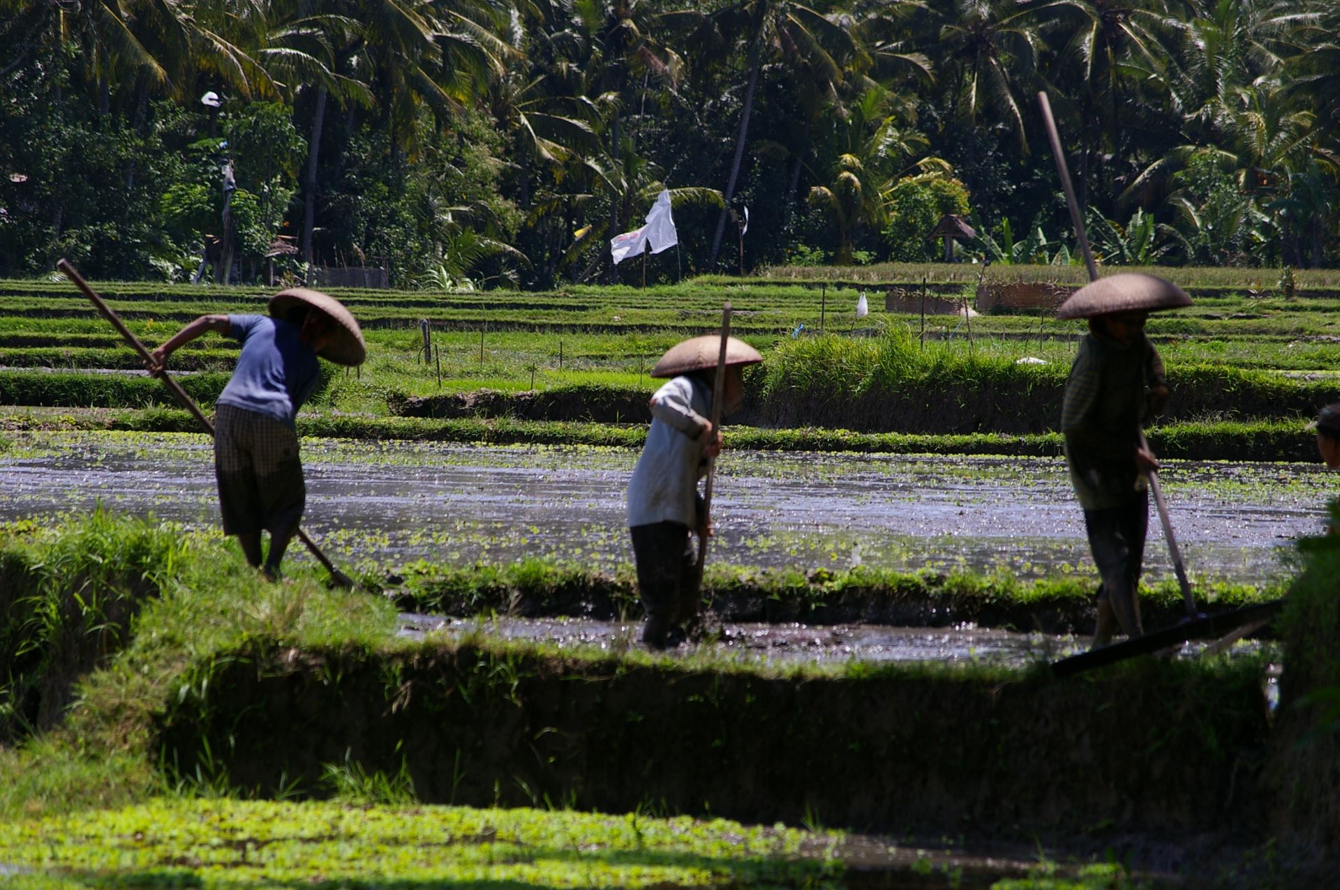 Chez l'habitant à Bali