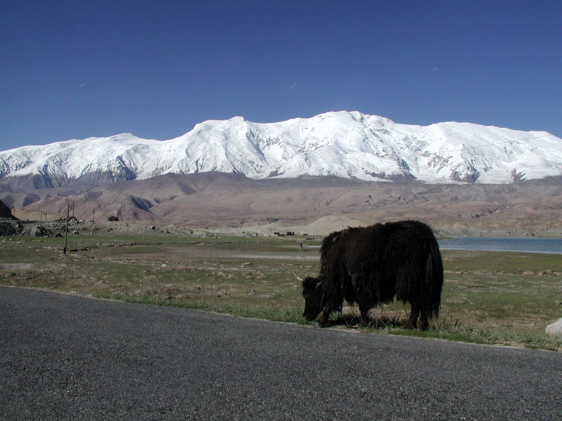 Xian à Urumqi sur les traces de la Route de la Soie