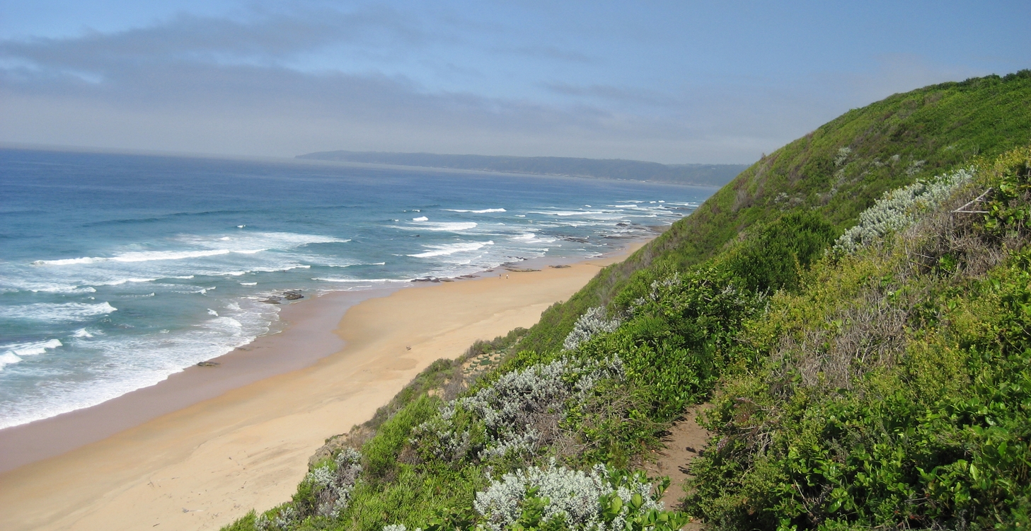 Les incroyables paysages de Cape Town à Port Elizabeth !