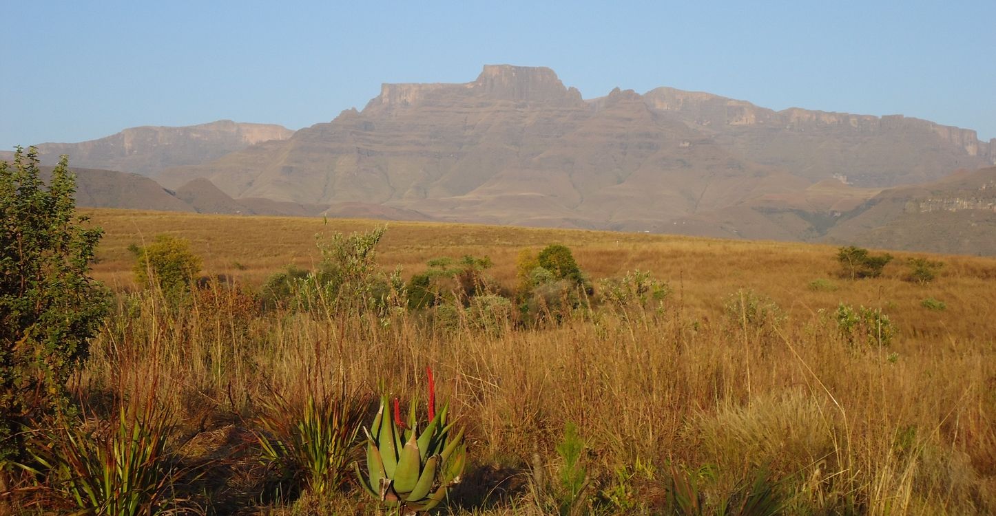 Randonnée libre dans les montagnes du Drakensberg, et safari dans le bush