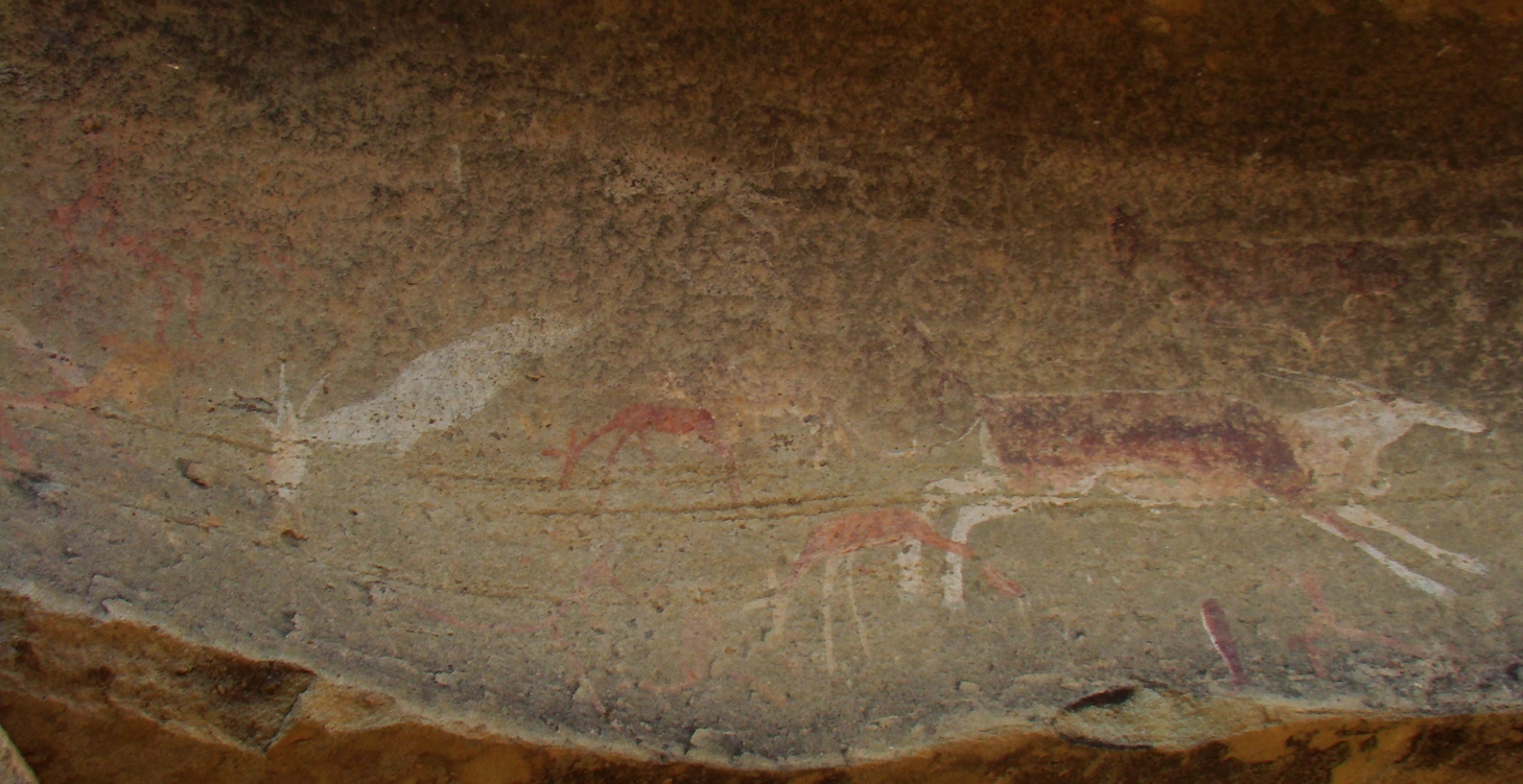 Randonnée libre dans les montagnes du Drakensberg, et safari dans le bush