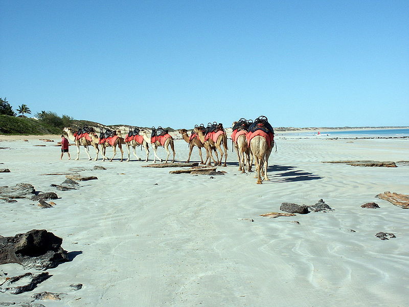 La traversée de L'Australie sauvage: les Kimberleys de Broome à Darwin