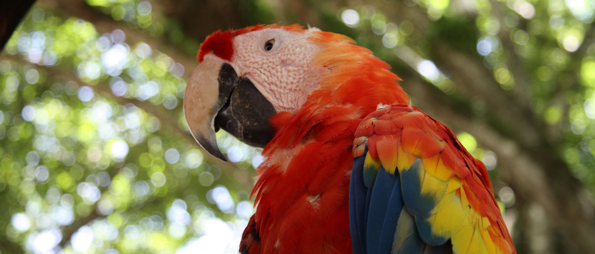 Les grands parcs naturels du Costa Rica