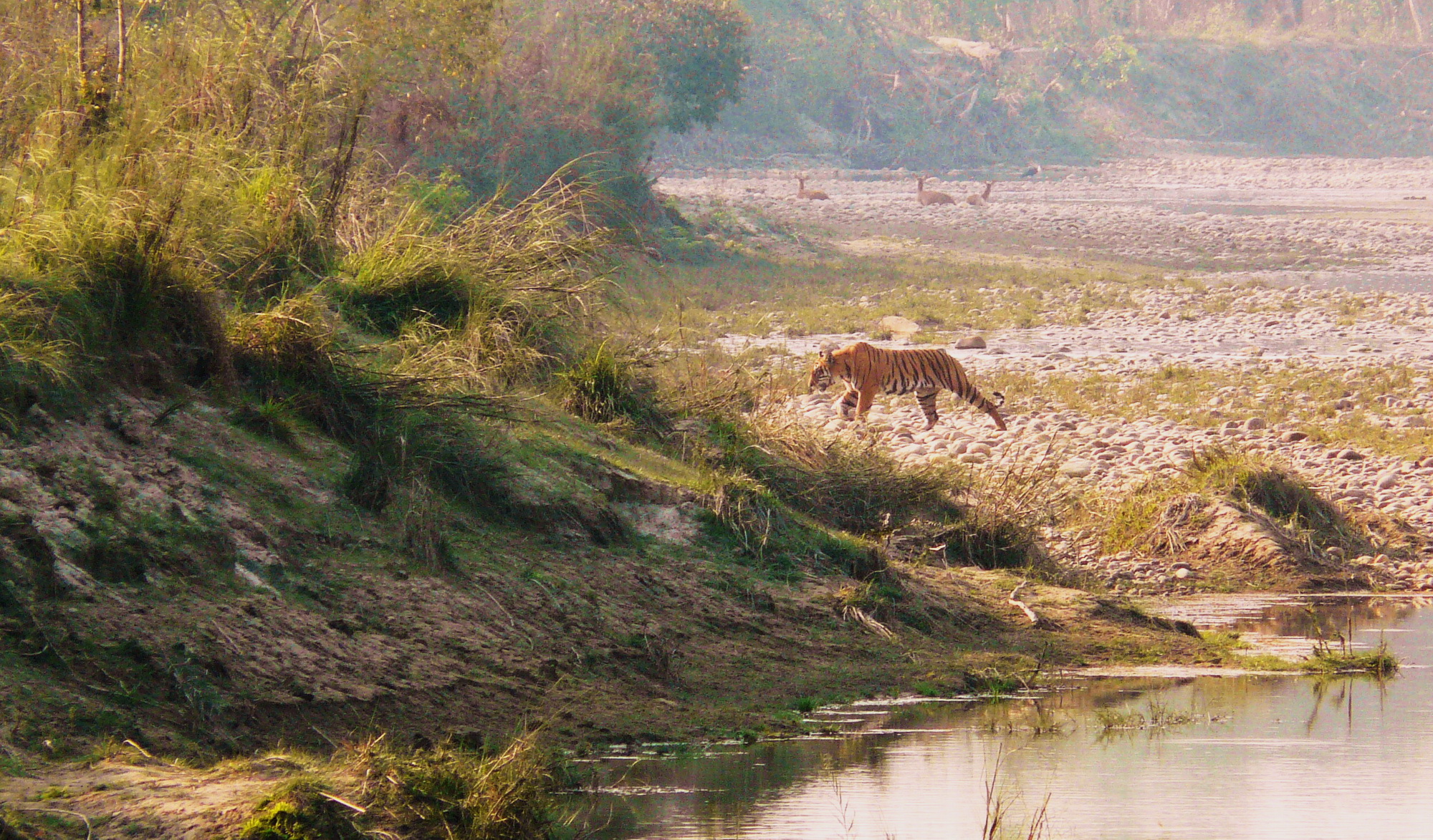 Séjour au Parc National de Bardia