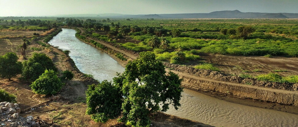 Voyage en pays Afar jusqu'au Danakil