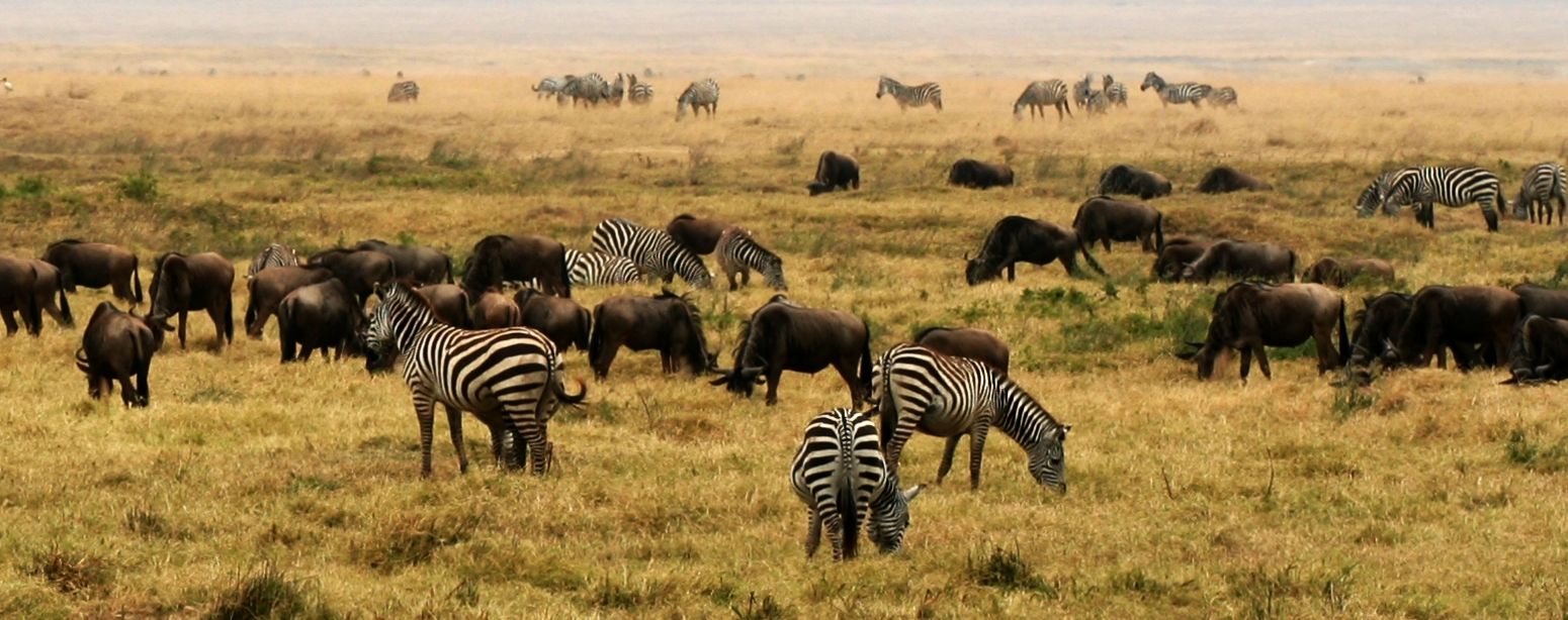 Safari et Rencontres authentiques avec les tribus de Tanzanie : Maasaï, Barbaigs, Waarushas...