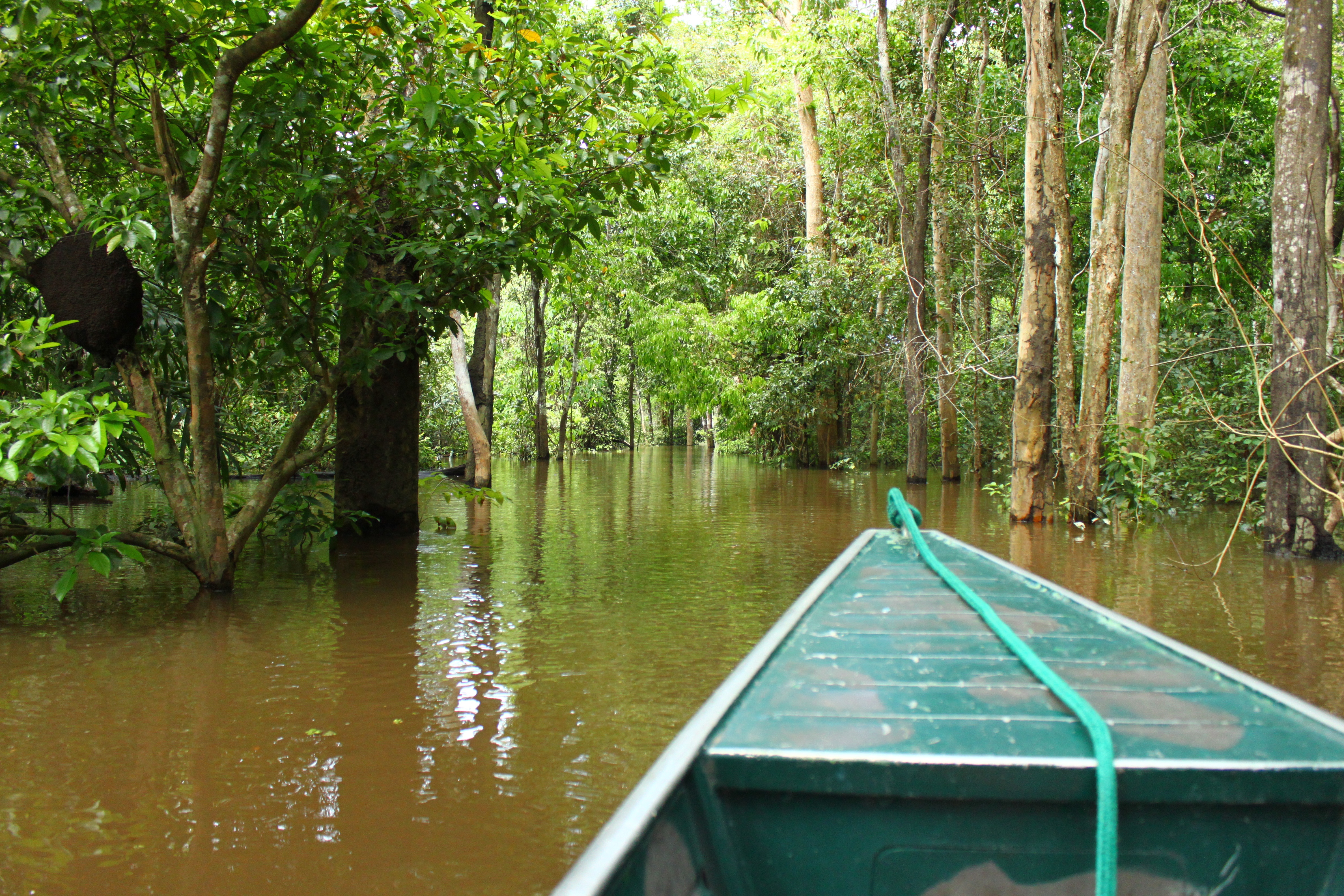 Les incontournables: Rio, Iguaçu et Amazonie