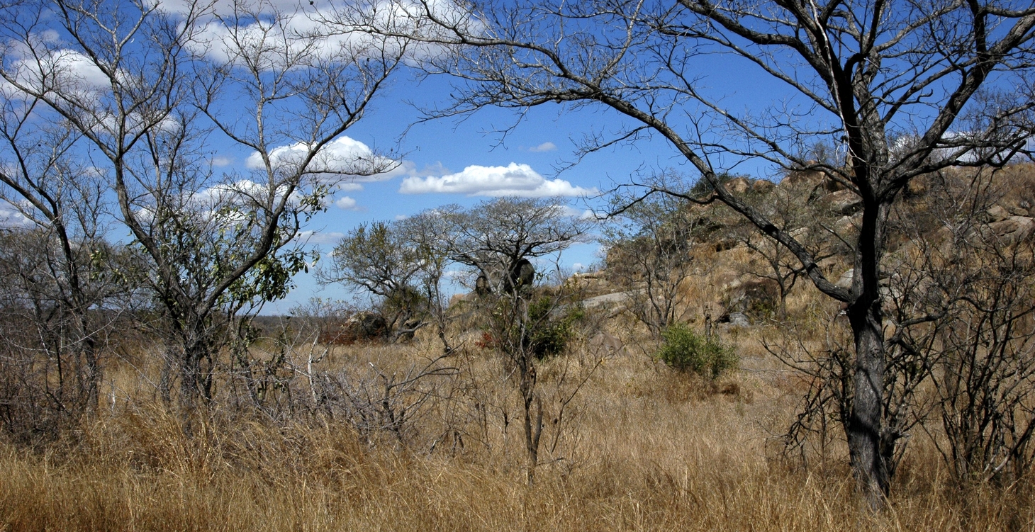 Afrique du Sud, safaris à pied et en 4x4 en réserve du Kruger