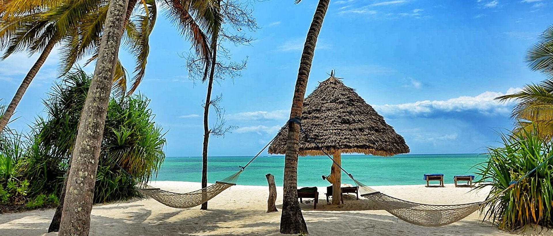 Combiné d'îles et plongée à Zanzibar, Mafia et Pemba