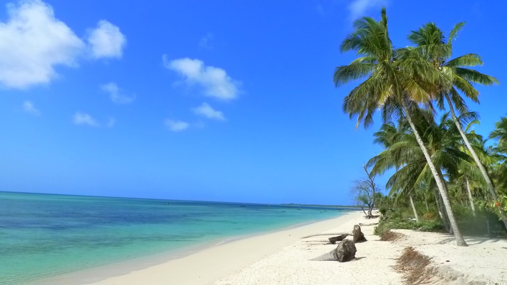 Combiné d'îles et plongée à Zanzibar, Mafia et Pemba