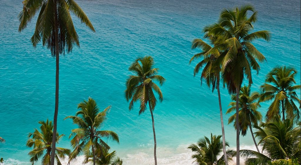 Voyage sur-mesure, Mahé, Praslin, La Digue : Les incontournables