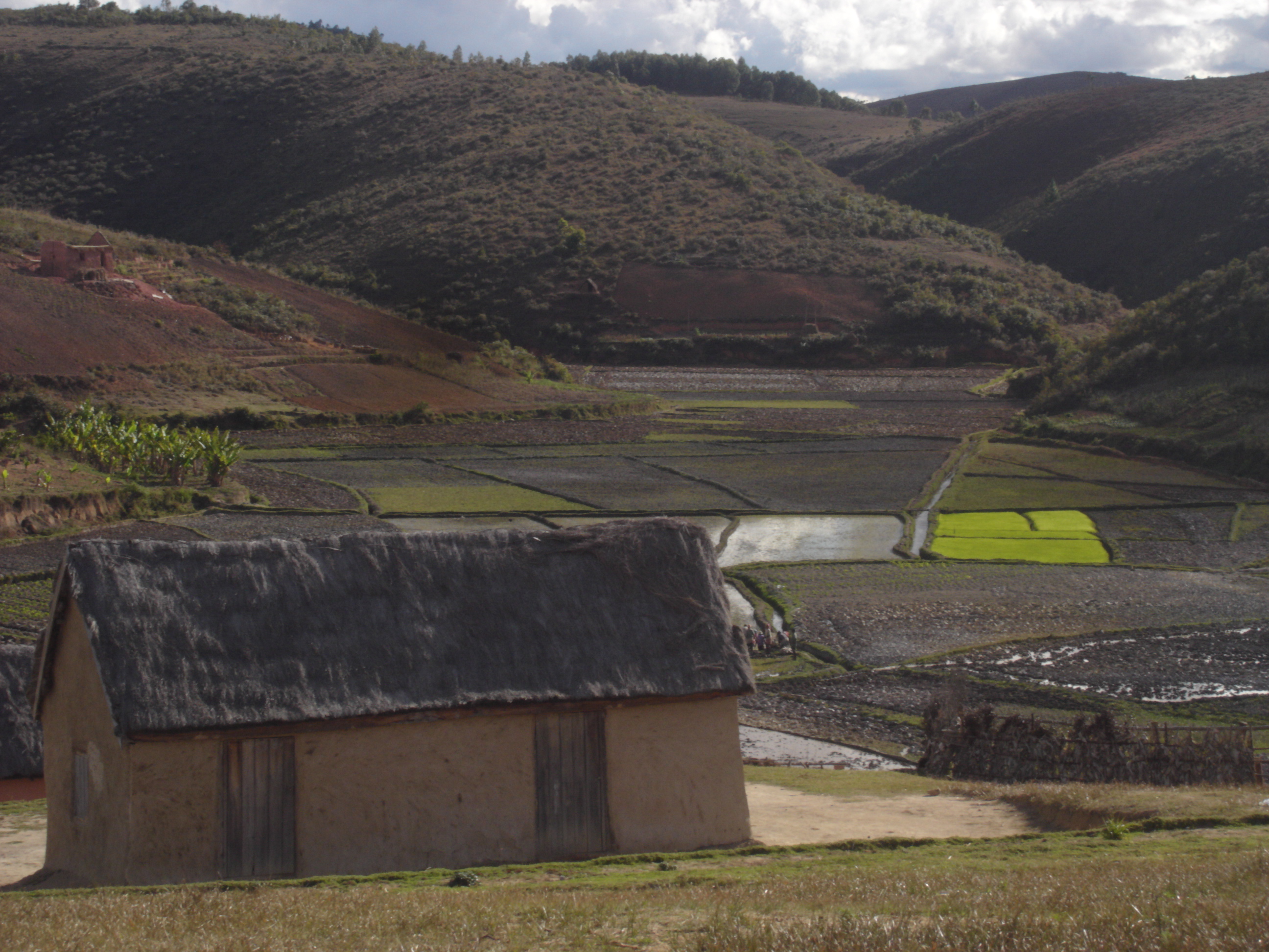 Sous le soleil de Madagascar