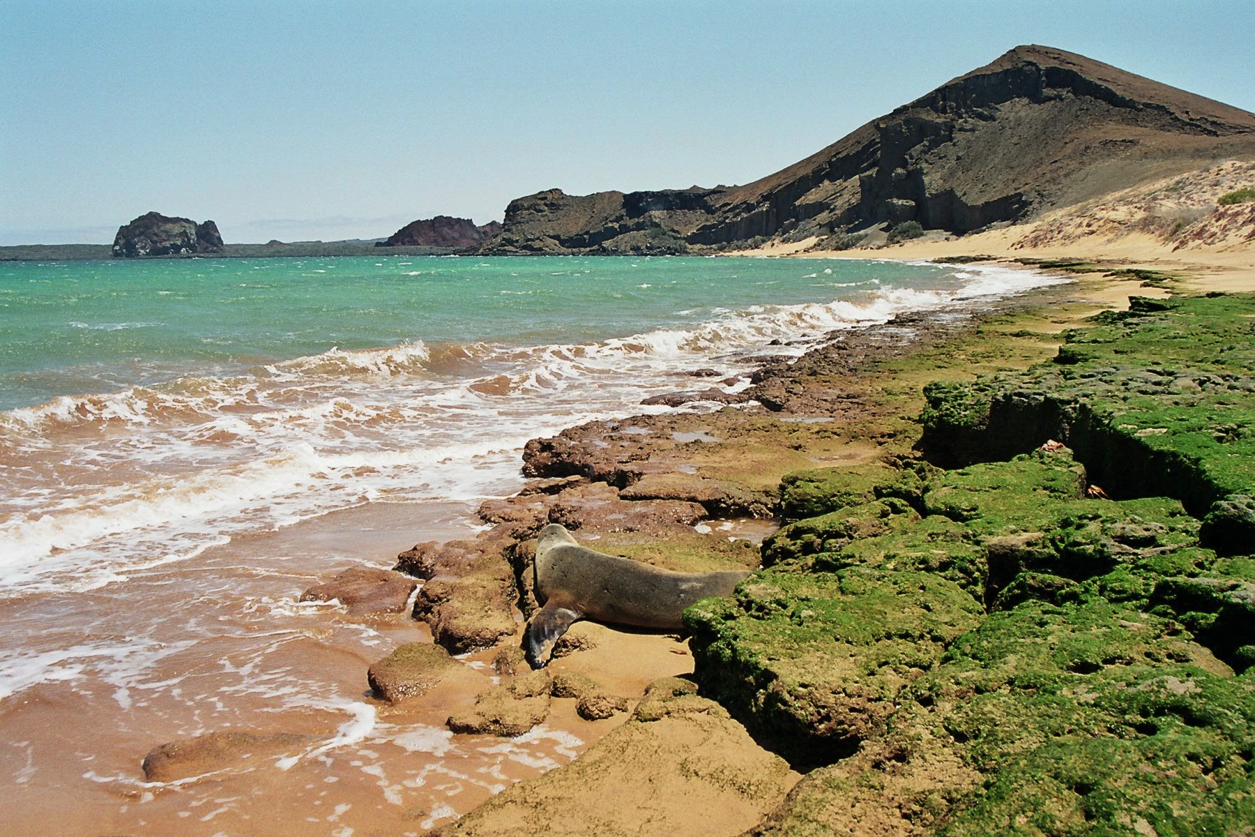 Voyage sur-mesure, Croisière pour découvrir les îles Galapagos