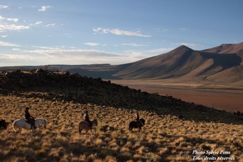 Randonnée à cheval dans la Cordillère des Andes