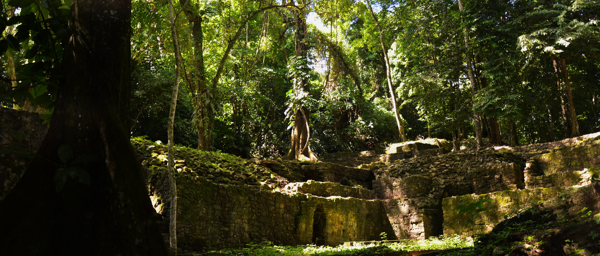 Le Yucatan en famille, sites archéologiques et réserves naturelles