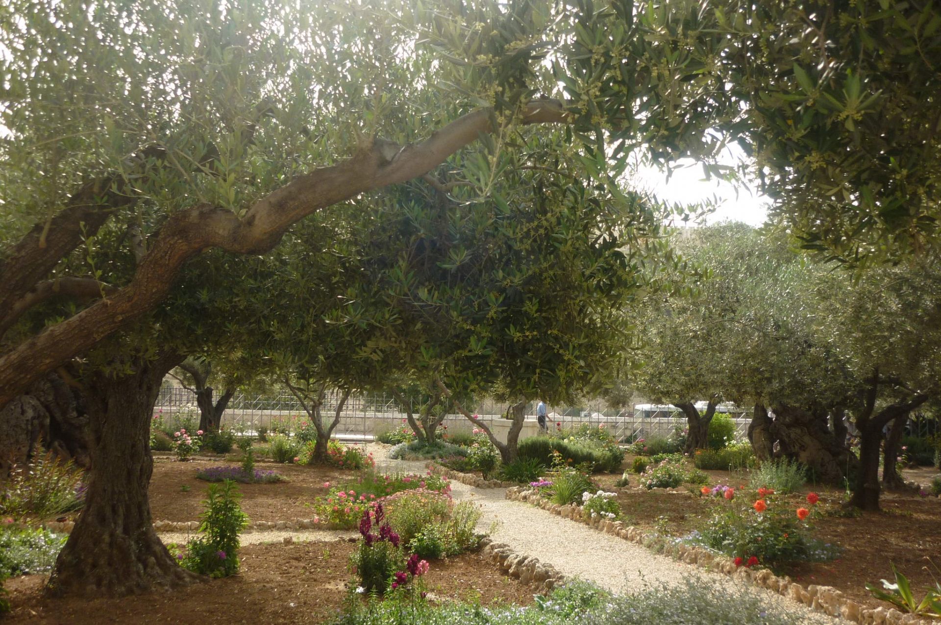 Voyage sur-mesure, La Palestine d'hier et d'aujourd'hui