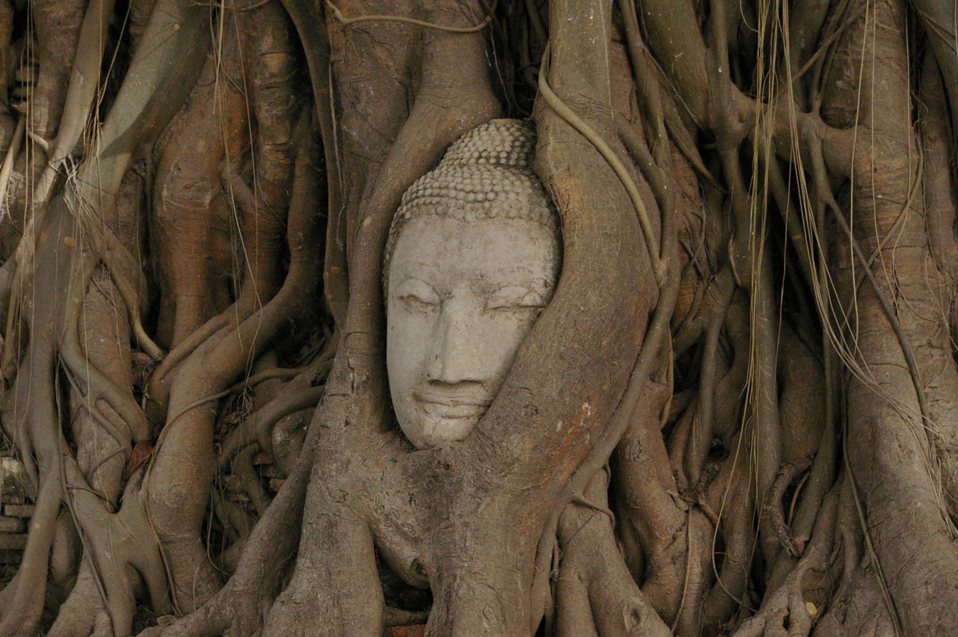 Voyage en Thaïlande et au Laos