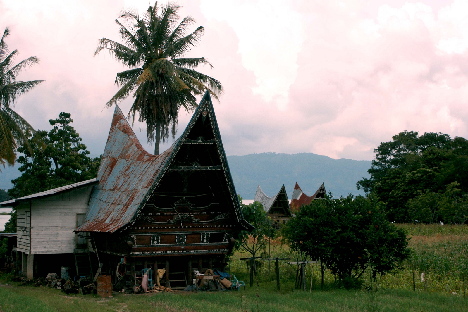 Sumatra : nature et culture