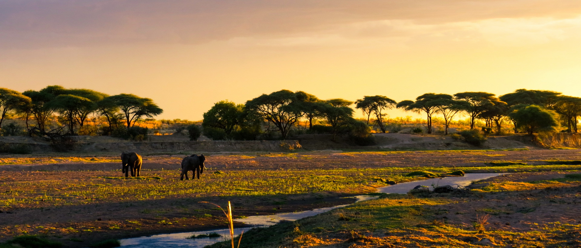 La Tanzanie du Sud en français et séjour à Zanzibar