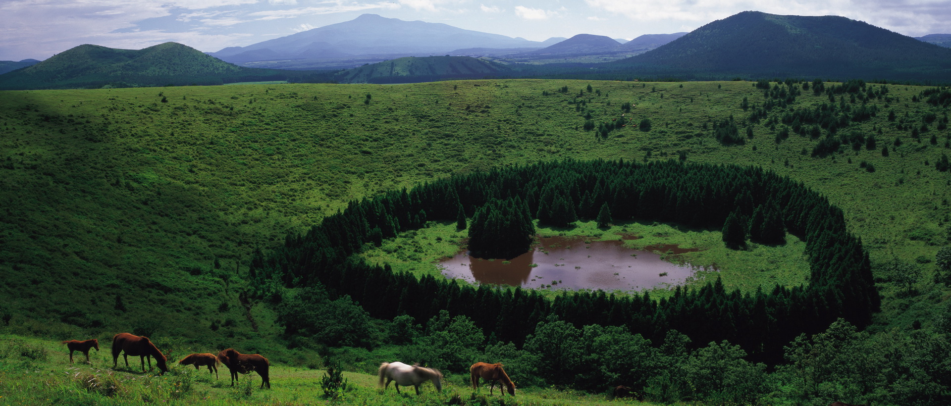 Découvertes nature à Jeju