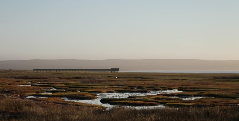 Voyage hors sentiers battus en Afrique du Sud: Namaqualand et Kgalagadi