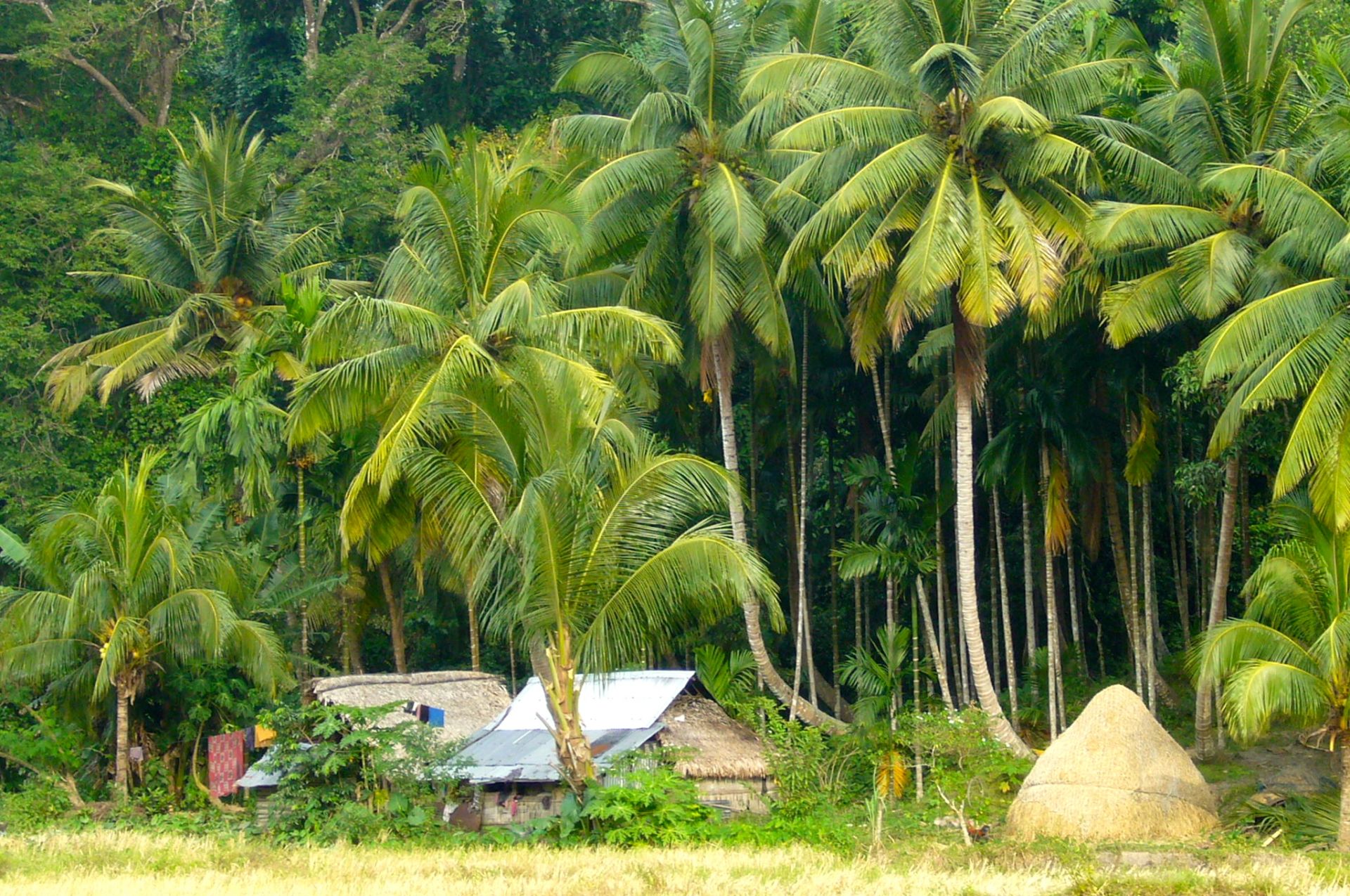 Voyage sur-mesure, Extension balnéaire sur les Iles Andamans