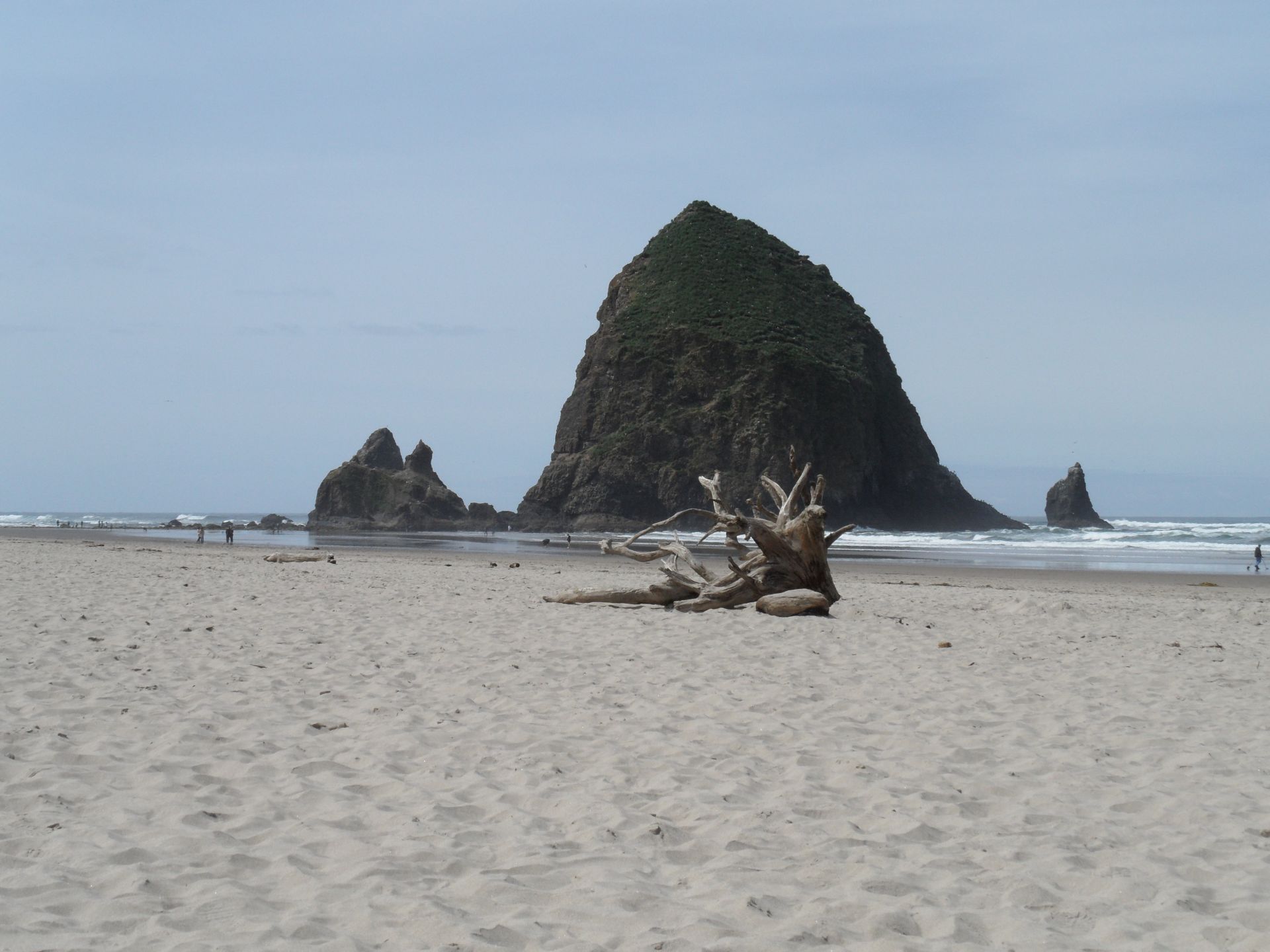 Découverte de l'Oregon