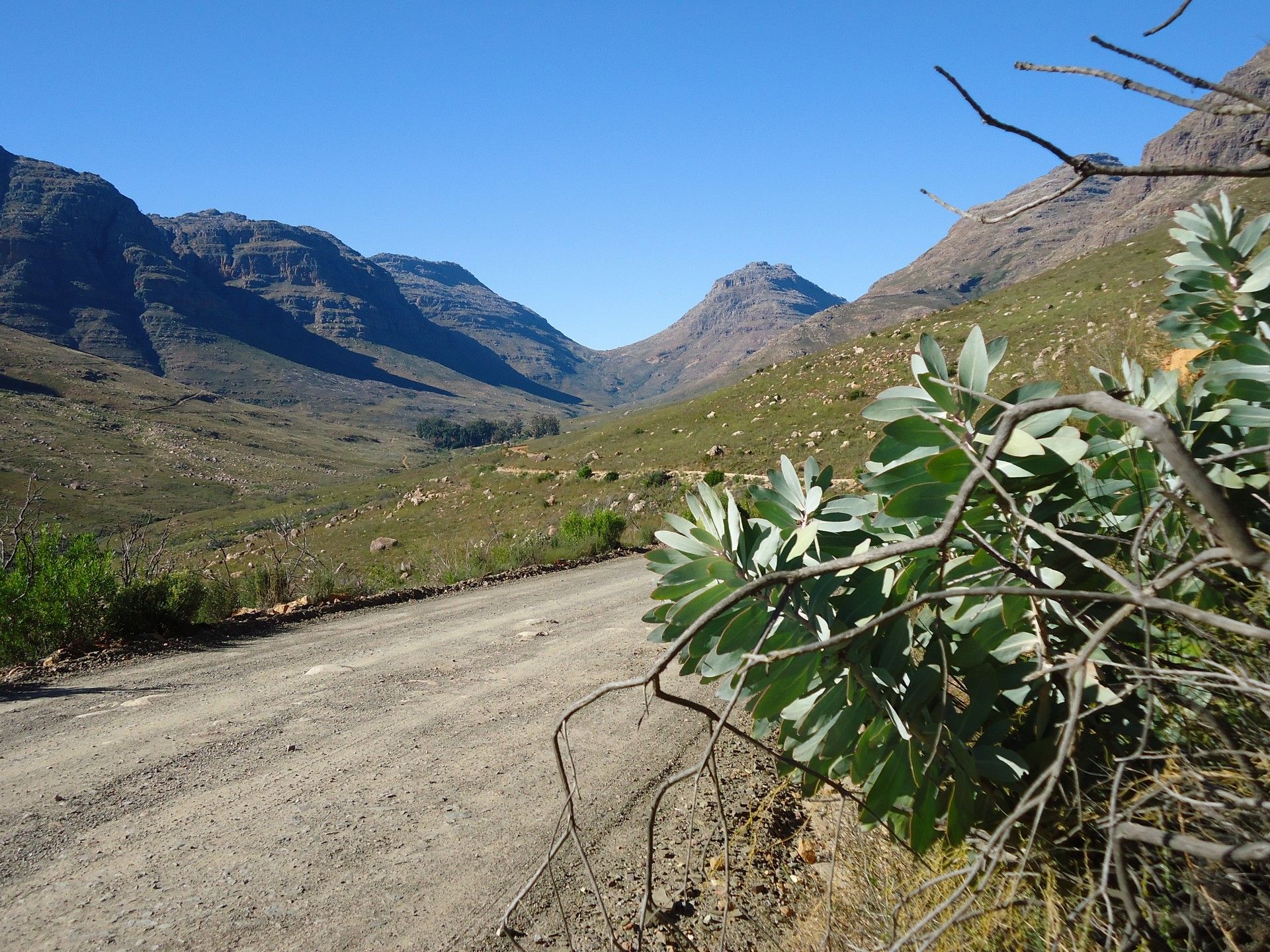 Petit coin de paradis sauvage dans les montagnes du Cederberg