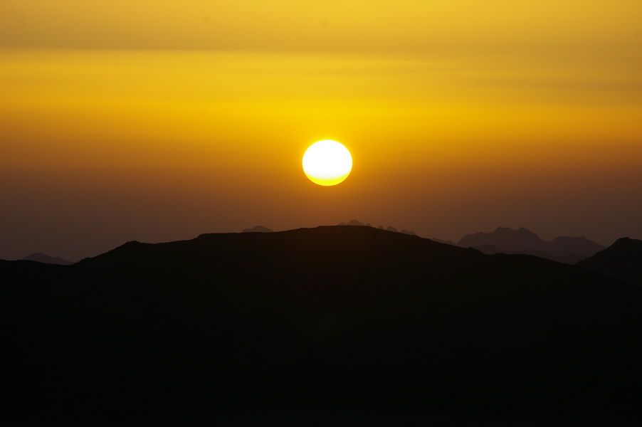 Méharée dans le Wadi Rum
