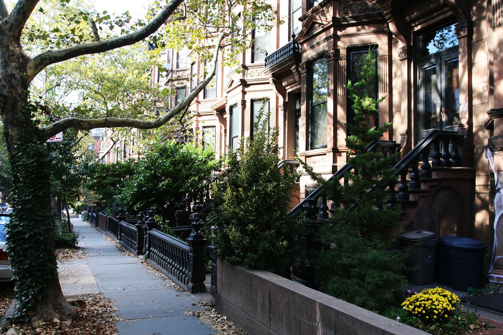 New York, version francophone