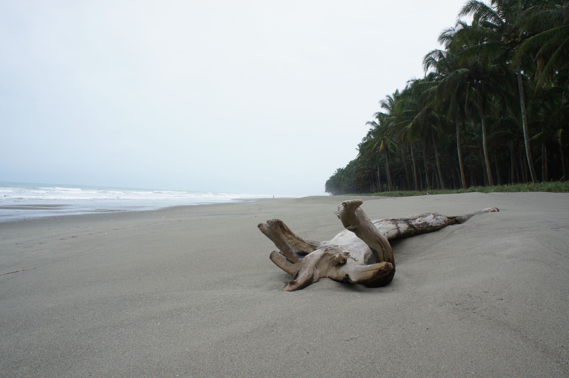Voyage sur-mesure, Voyage authentique du Manabi :  la cote pacifique equateur