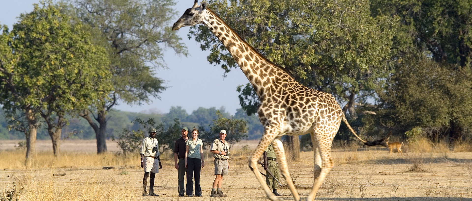 Combiné safari dans les parcs de Chobe & Sud Luangwa et les Chutes Victoria