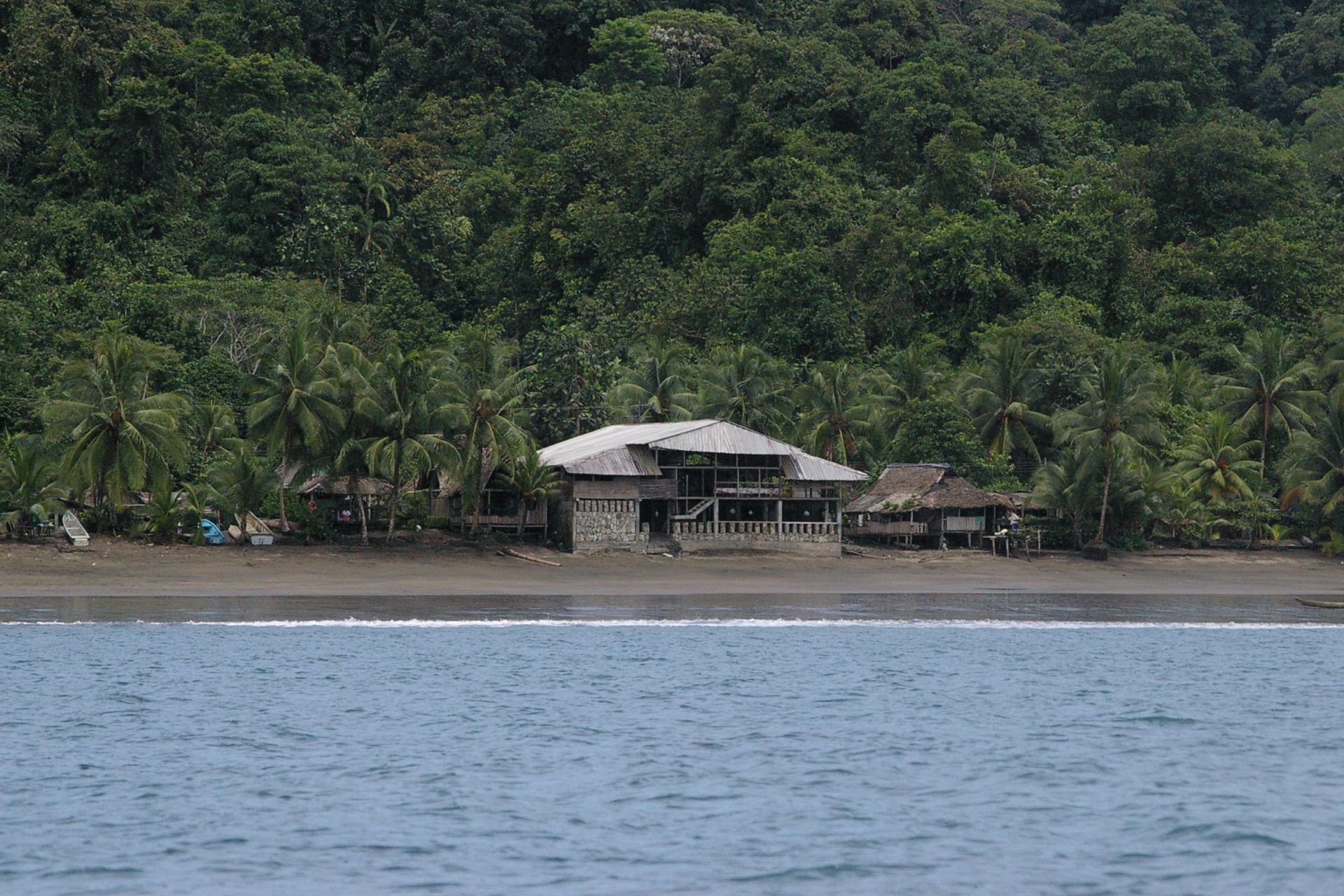 Voyage sur-mesure, Observation des baleines du Pacifique
