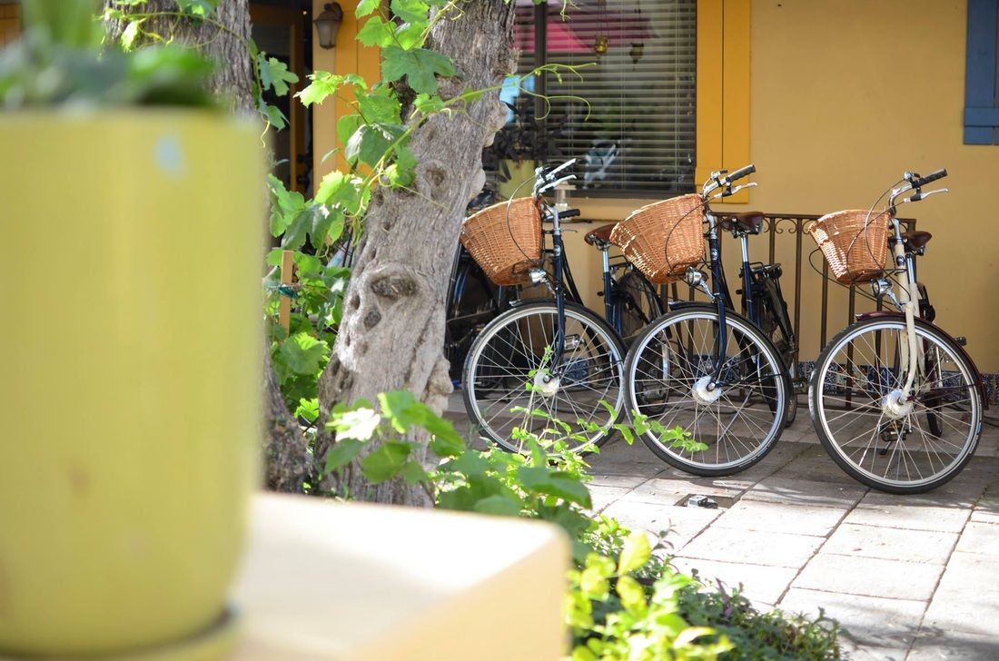 Séjour de luxe à velo dans le désert de Sonora