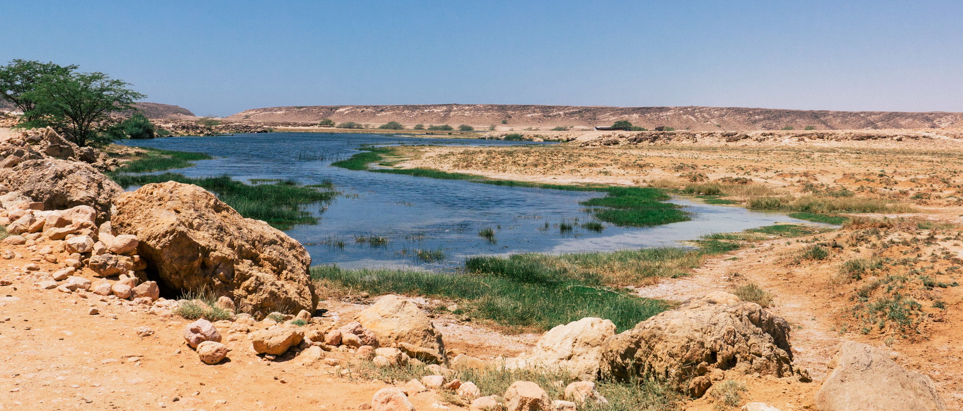 Sur la route de l'Encens de Mascate à Salalah