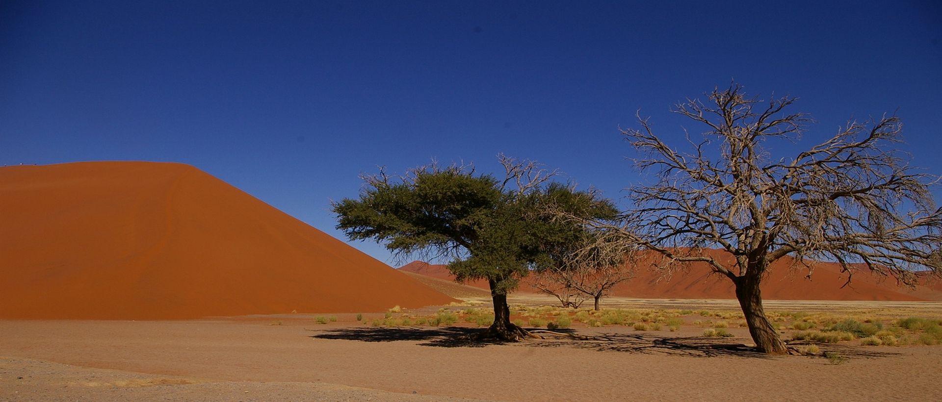 Voyage sur-mesure, Lodge intimiste à deux pas des dunes