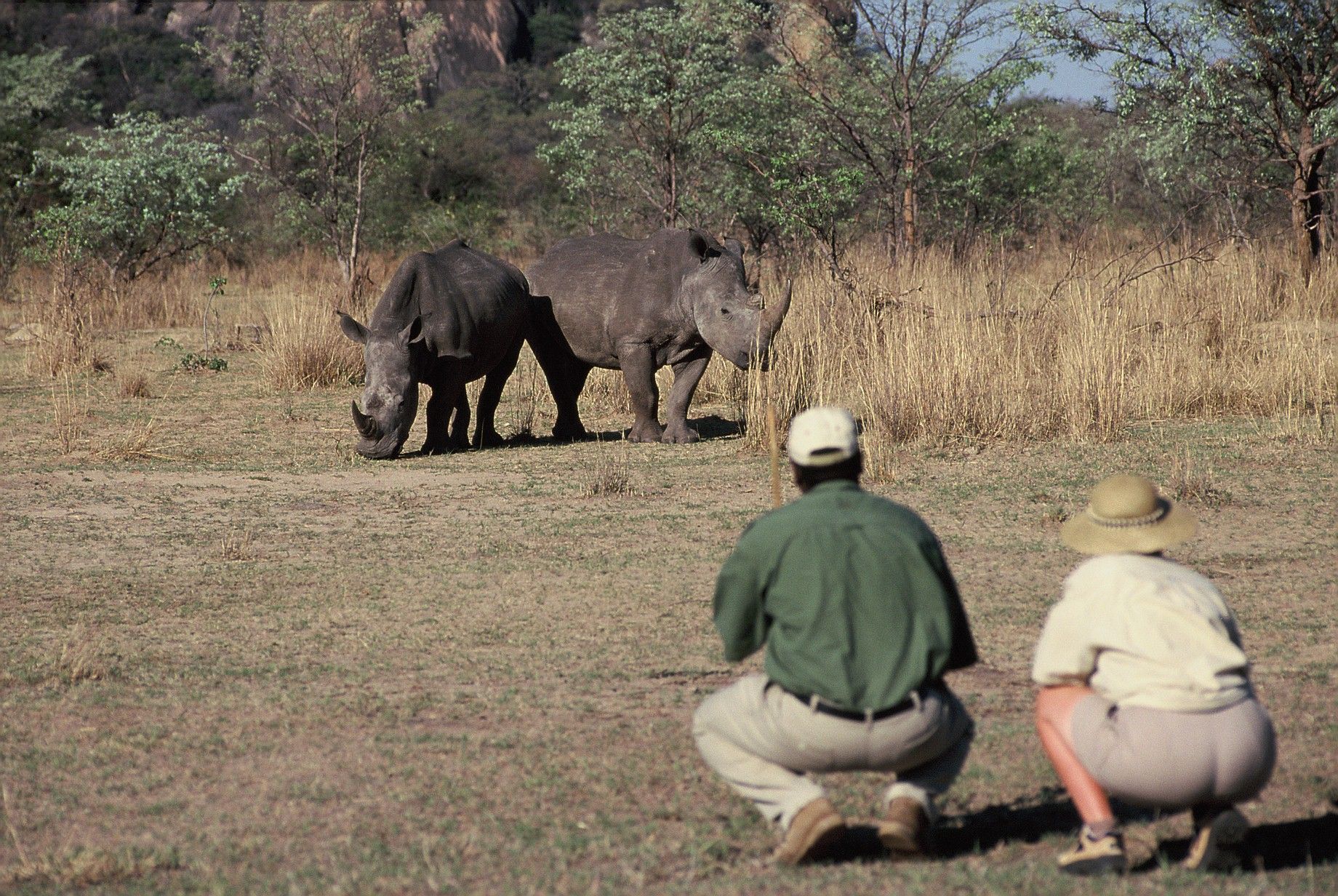 Voyage safari de luxe au Zimbabwe