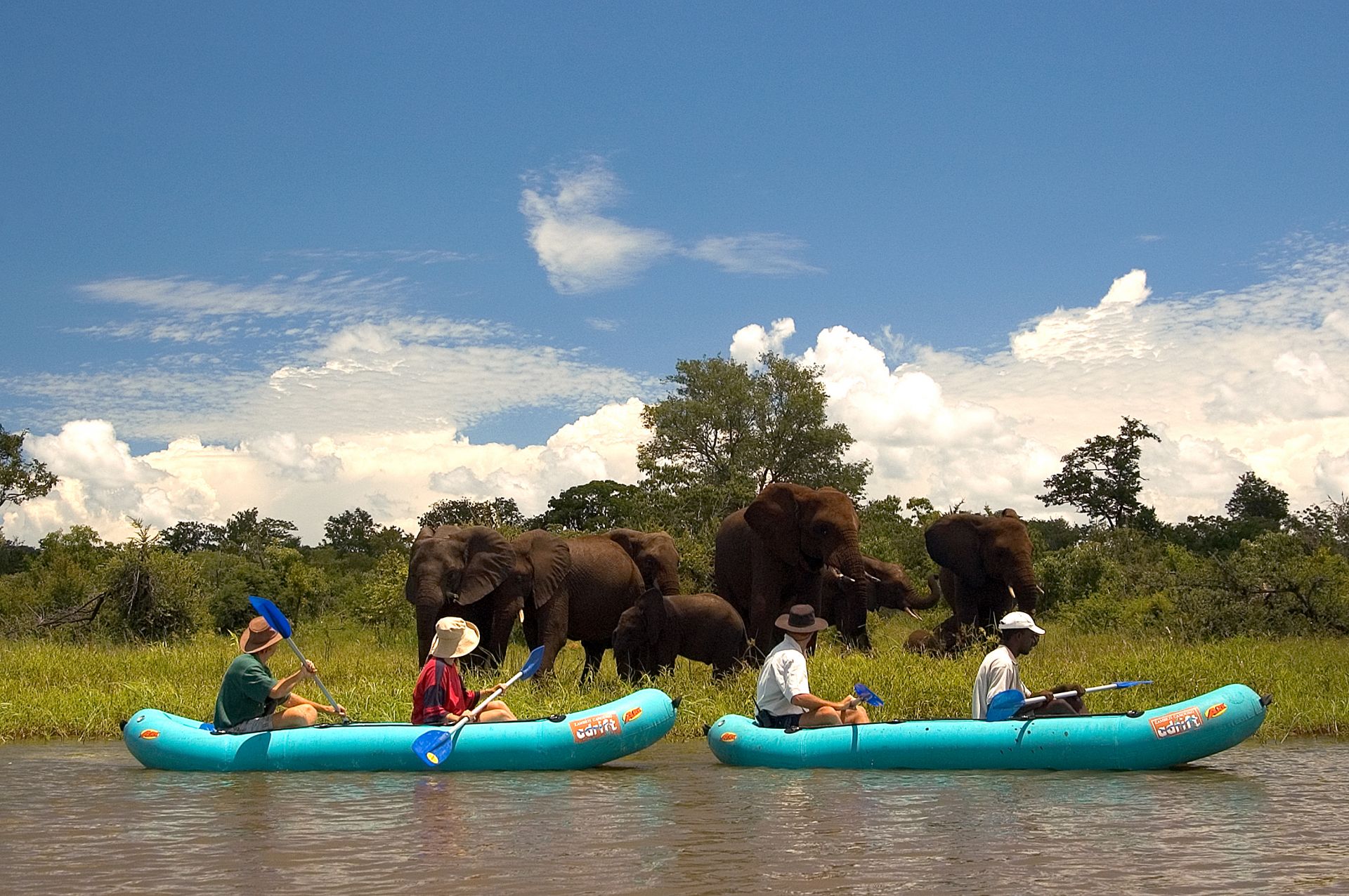 Voyage safari de luxe au Zimbabwe
