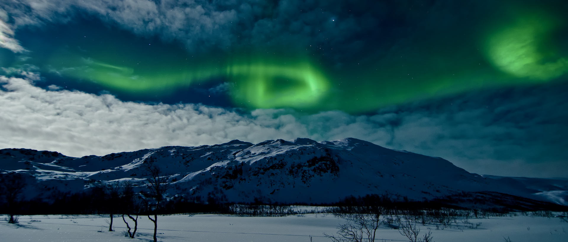 Aurores boréales et croisière hivernale dans la Norvège du Nord