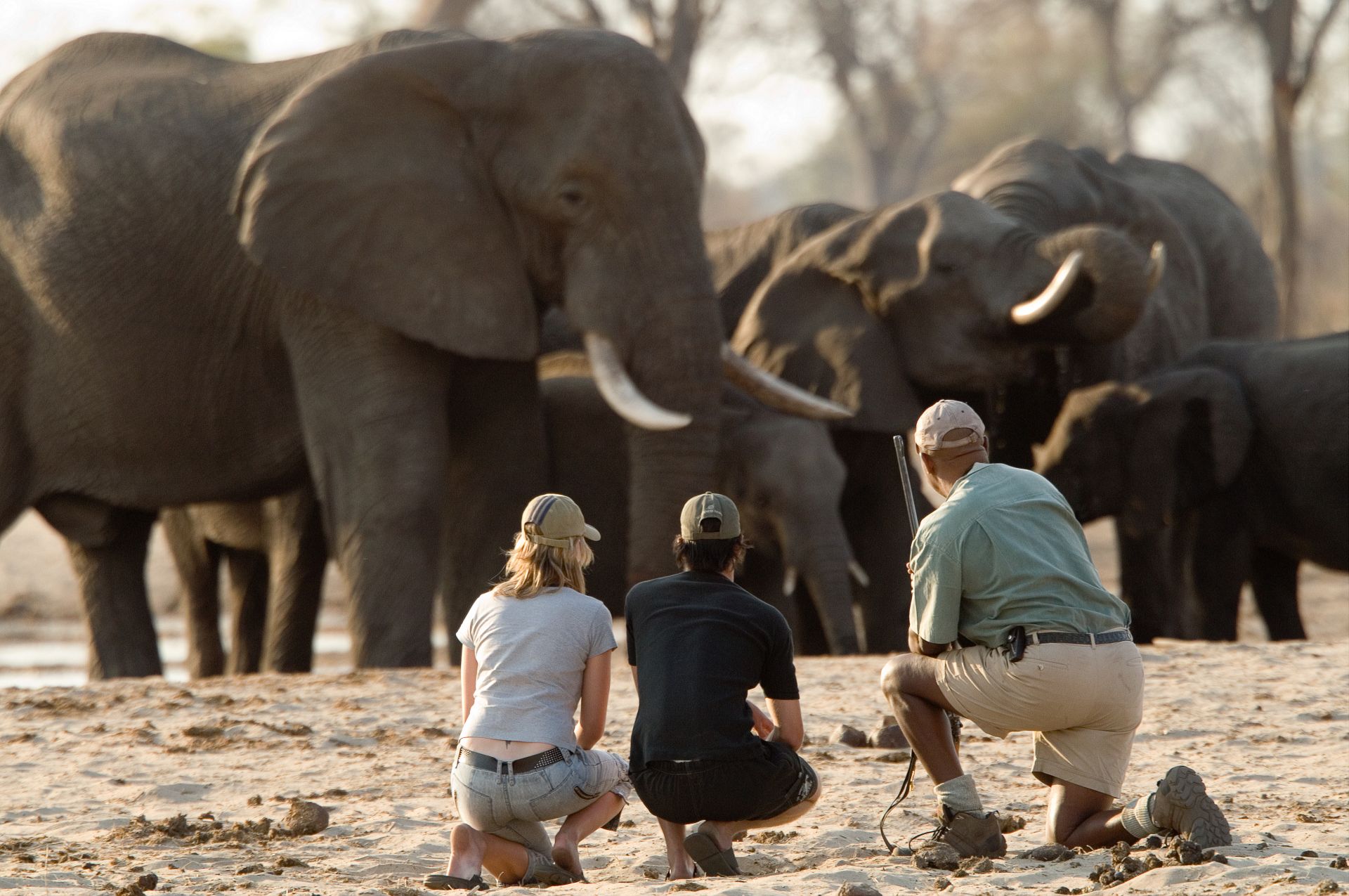 Autotour Zimbabwe: safaris et chutes Victoria