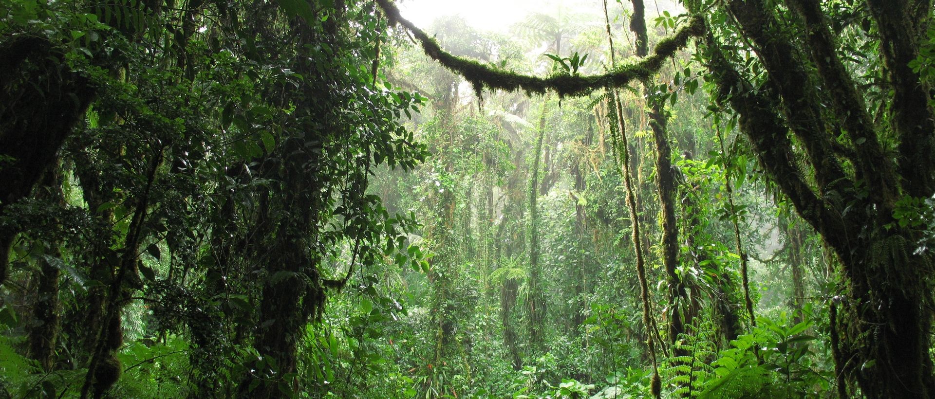 Combiné Nicaragua - Costa Rica