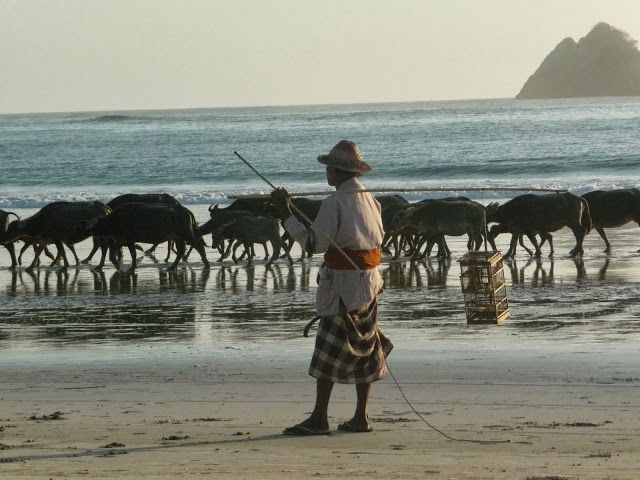 Voyage sur-mesure, Séjour à Lombok