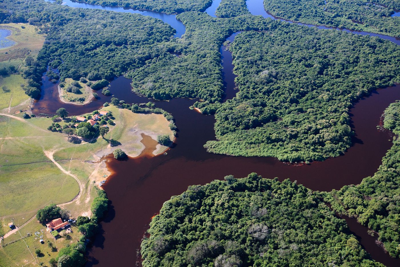 Immersion au coeur du Pantanal