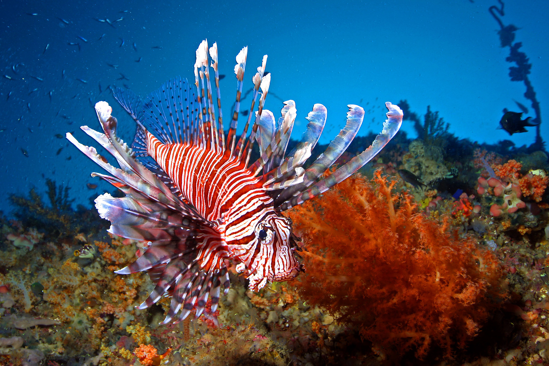 Voyage sur-mesure, Entre mer et forêt tropicale : la province de Palawan