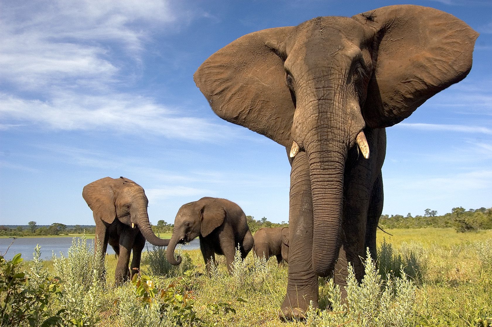 Autotour Botswana : des Chutes Victoria au Delta de l'Okavango