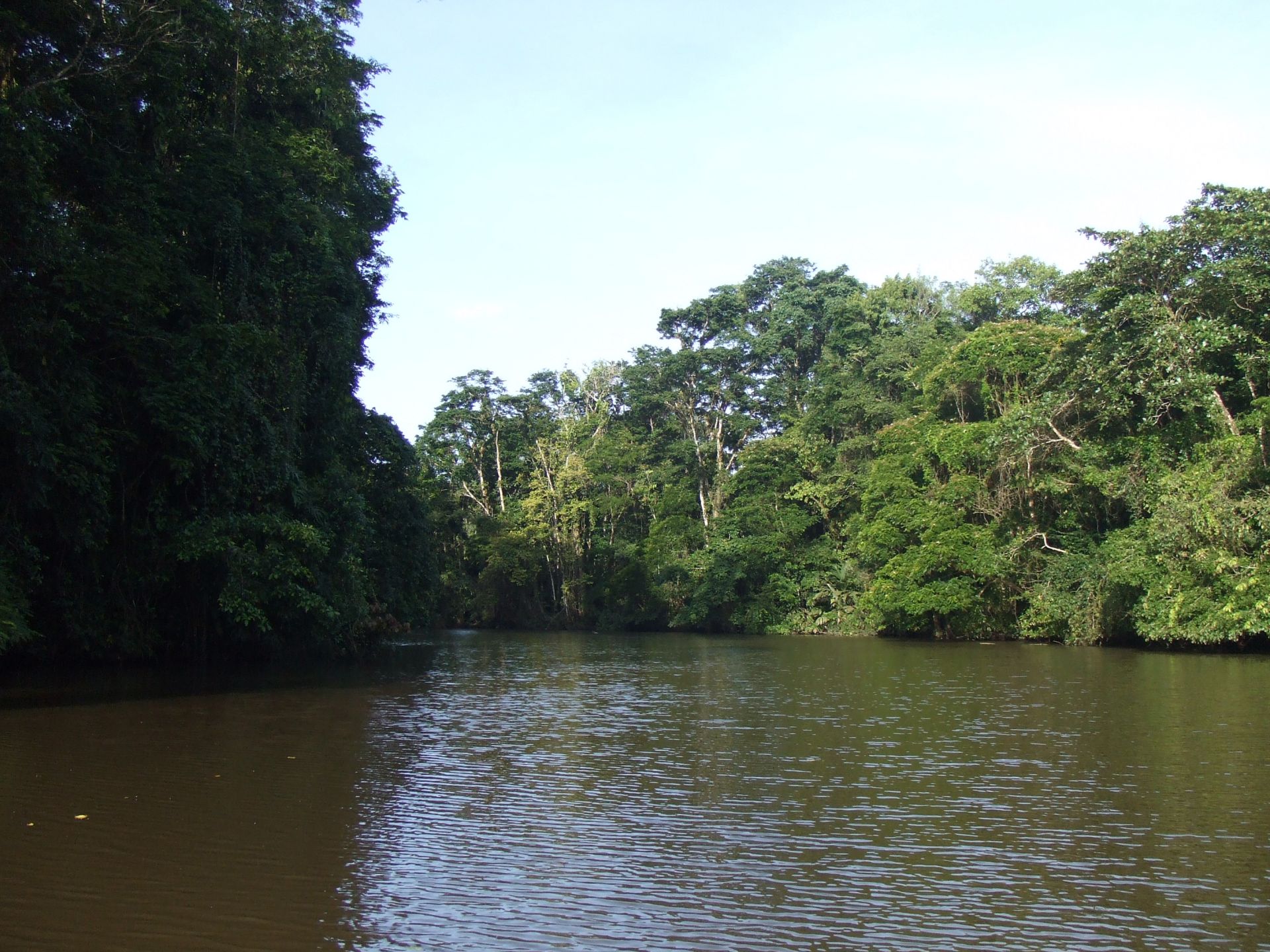 Volcans, réserves et plages : le grand tour du Costa Rica