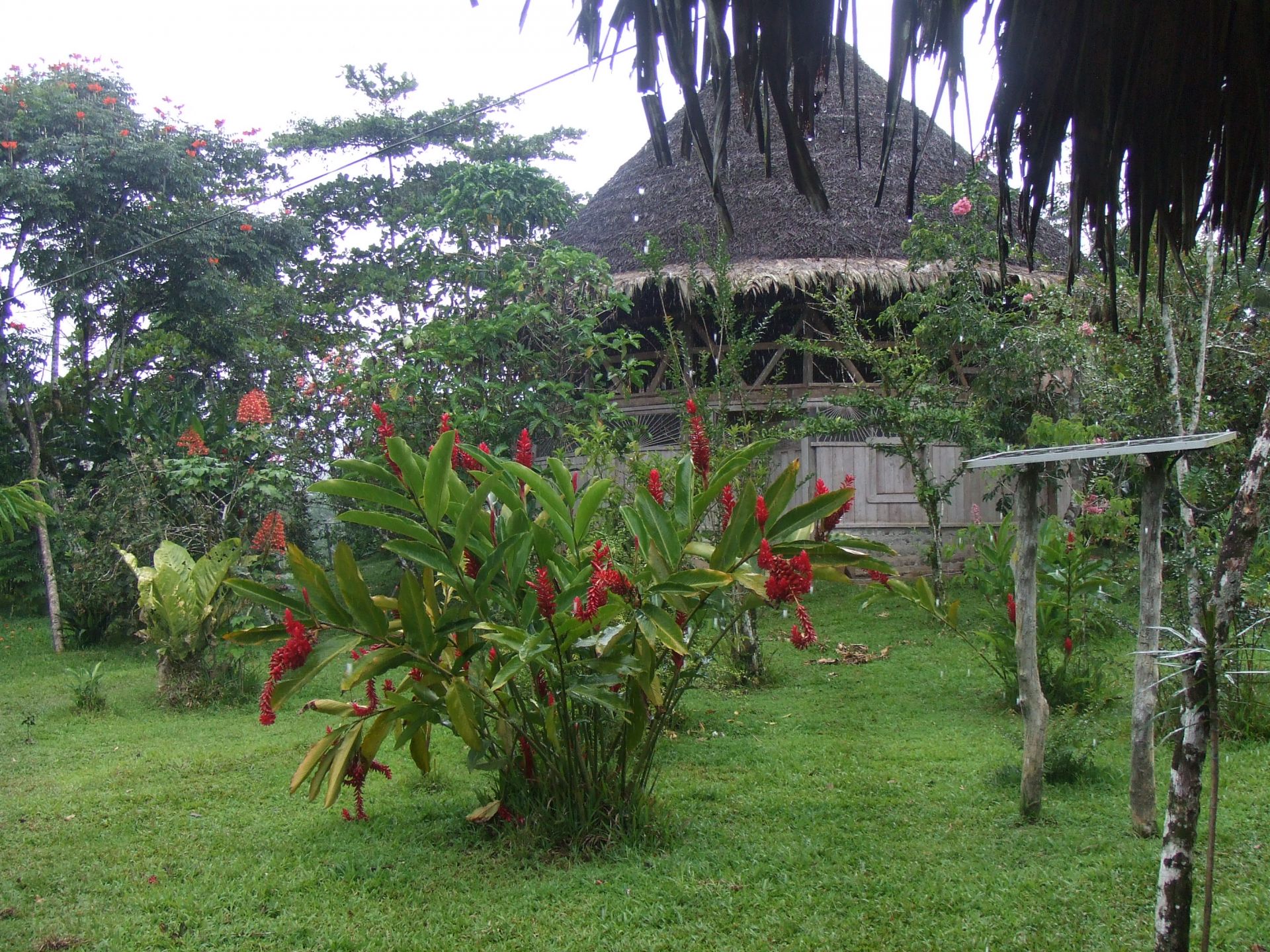 Voyage sur-mesure, Volcans, réserves et plages : le grand tour du Costa Rica