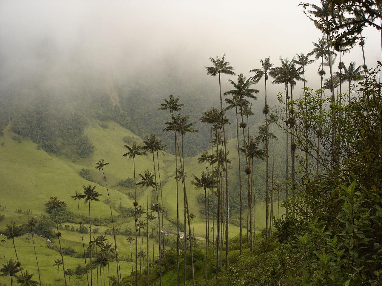 L'essentiel de la Colombie