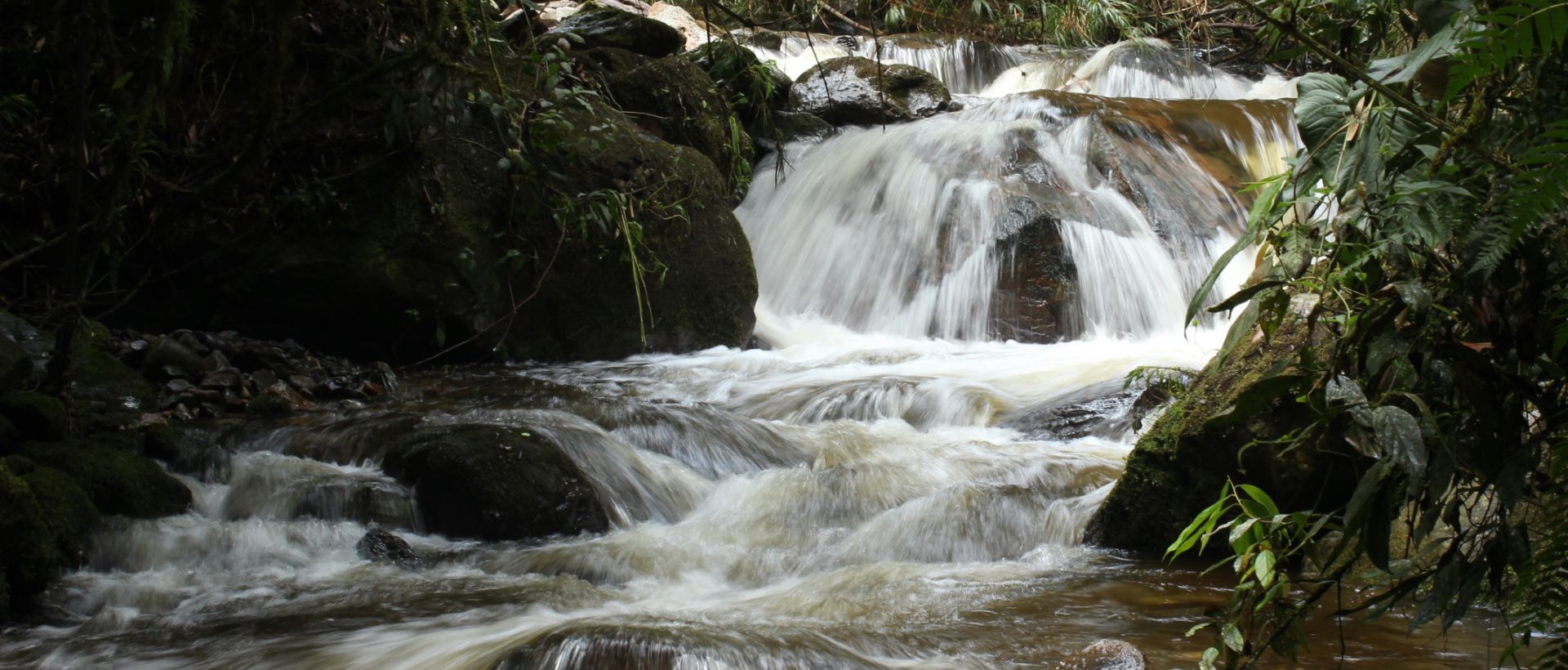 Multi-activités en Colombie