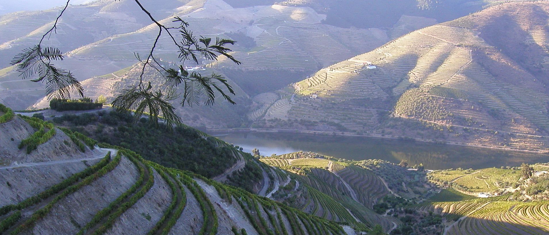 Du Douro à l'Alentejo : les incontournables du Portugal